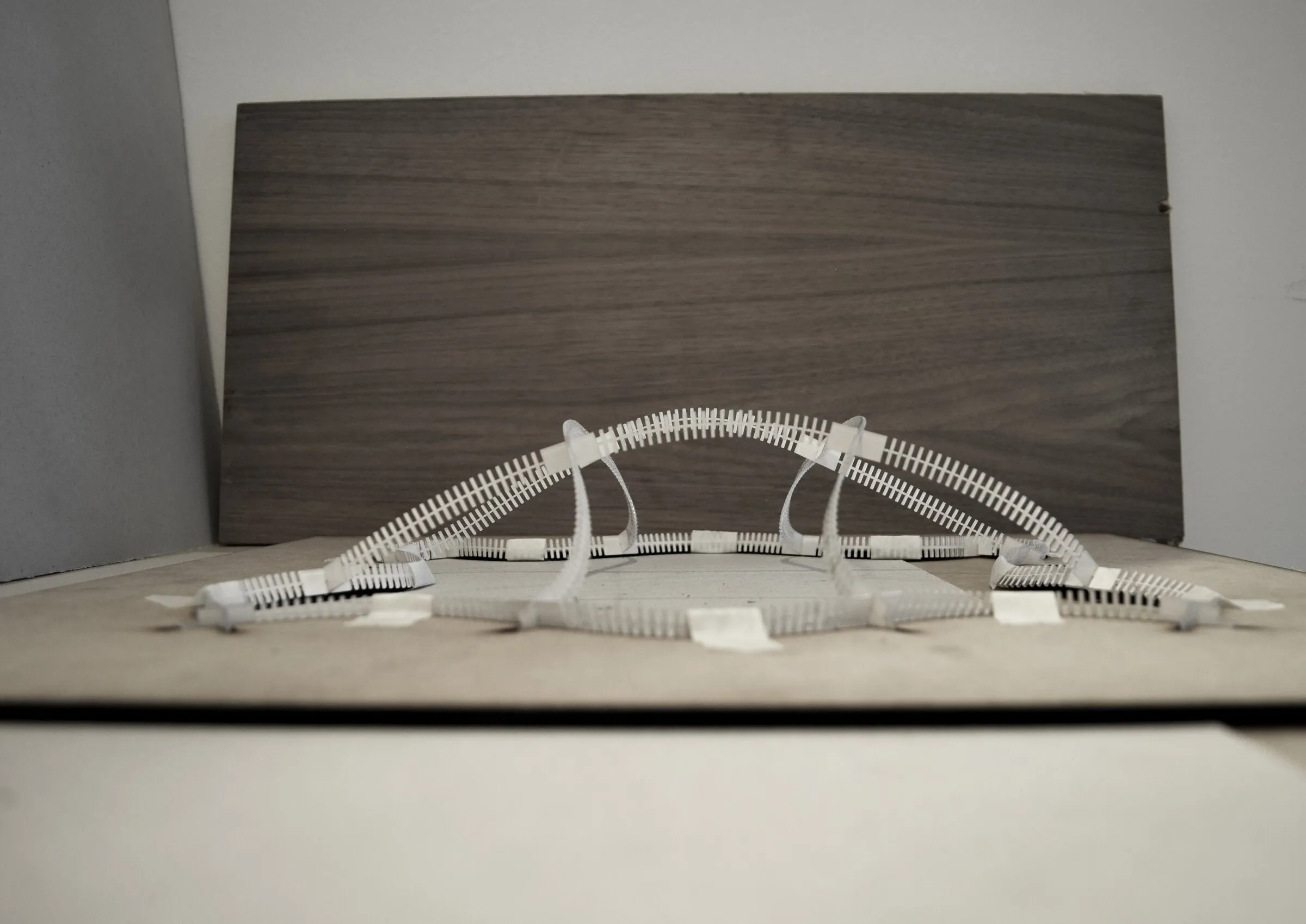 auxetic systems: bending-active arch formed from the auxetic strips