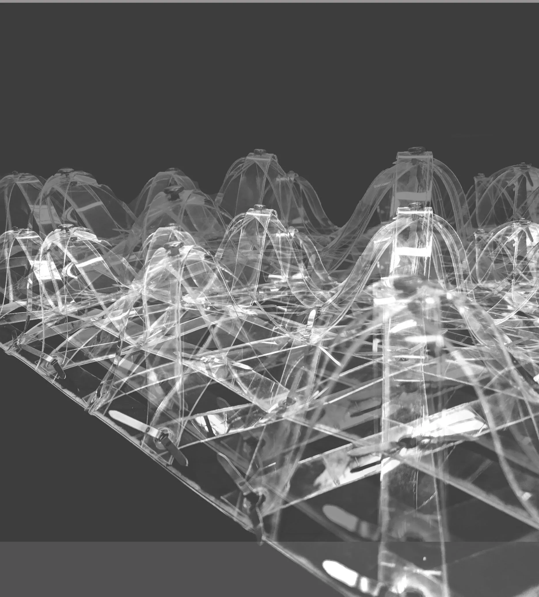 deployable bending-active system: visualisation of the system as a canopy