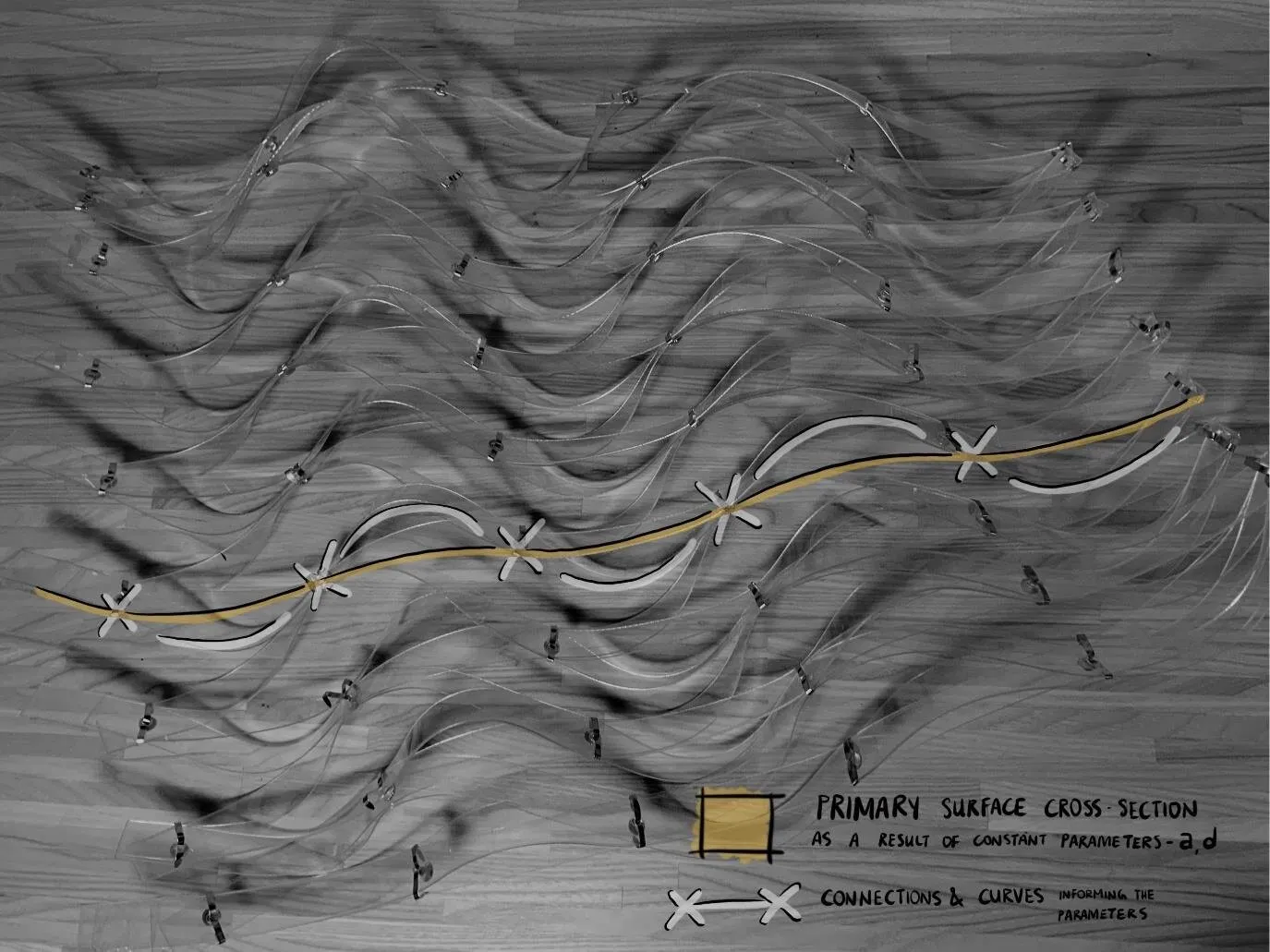 strip morphologies: controlling the curvature: non-hierarchical weave surface