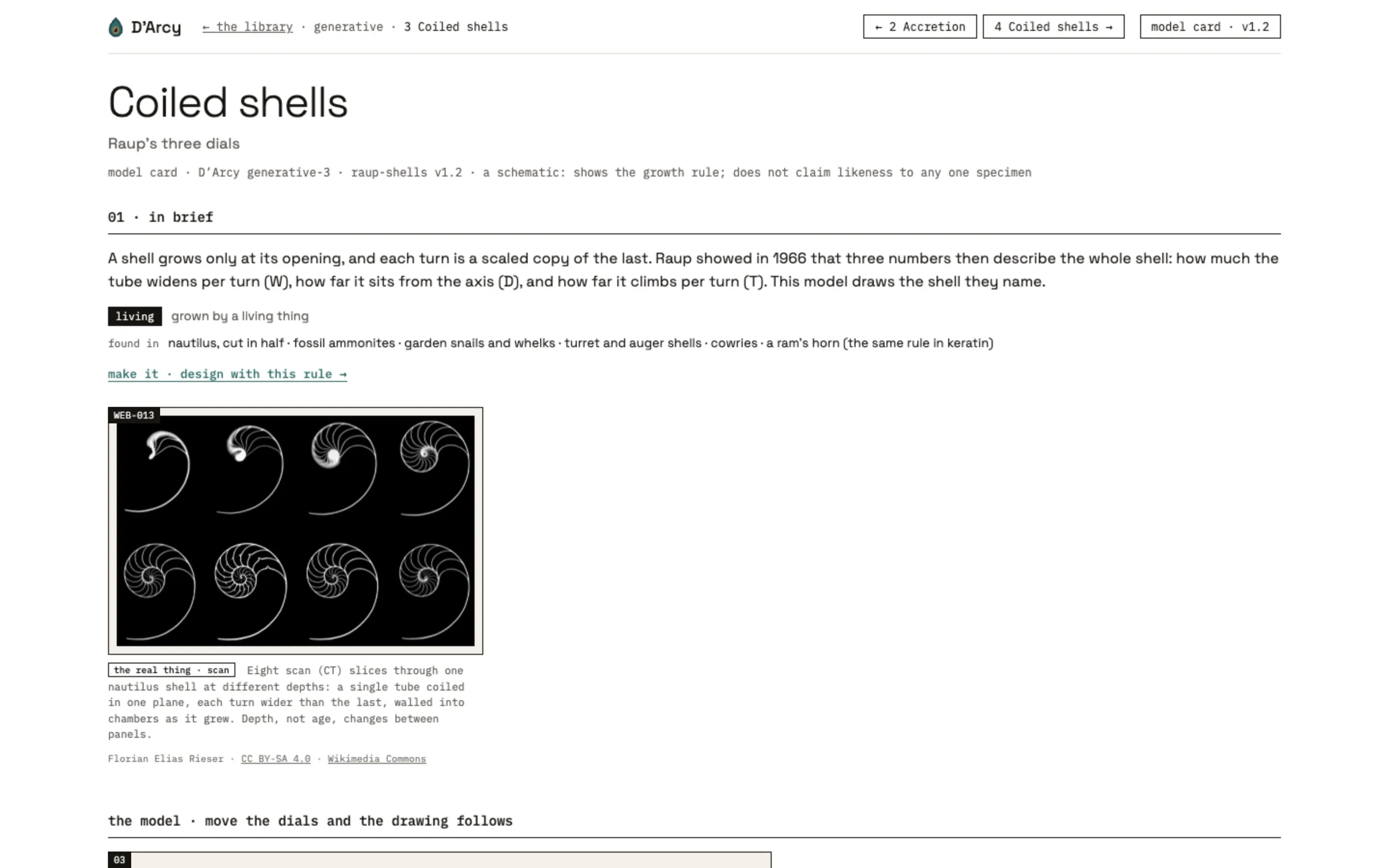 A D’Arcy model card for coiled shells: the rule in brief, where the pattern is found, and CT scan slices through a real nautilus shell