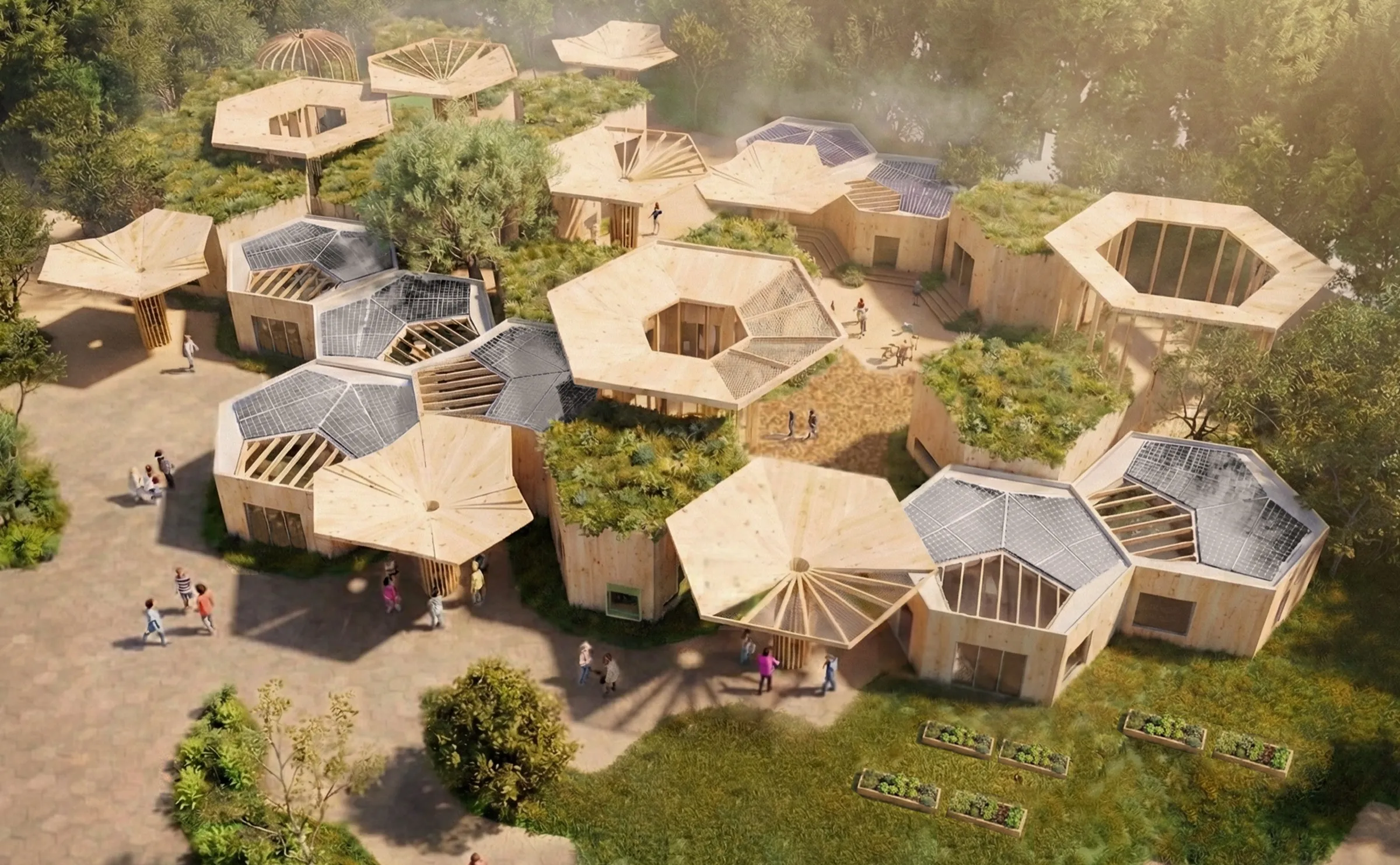 made to grow, a timber school on a hexagonal grid