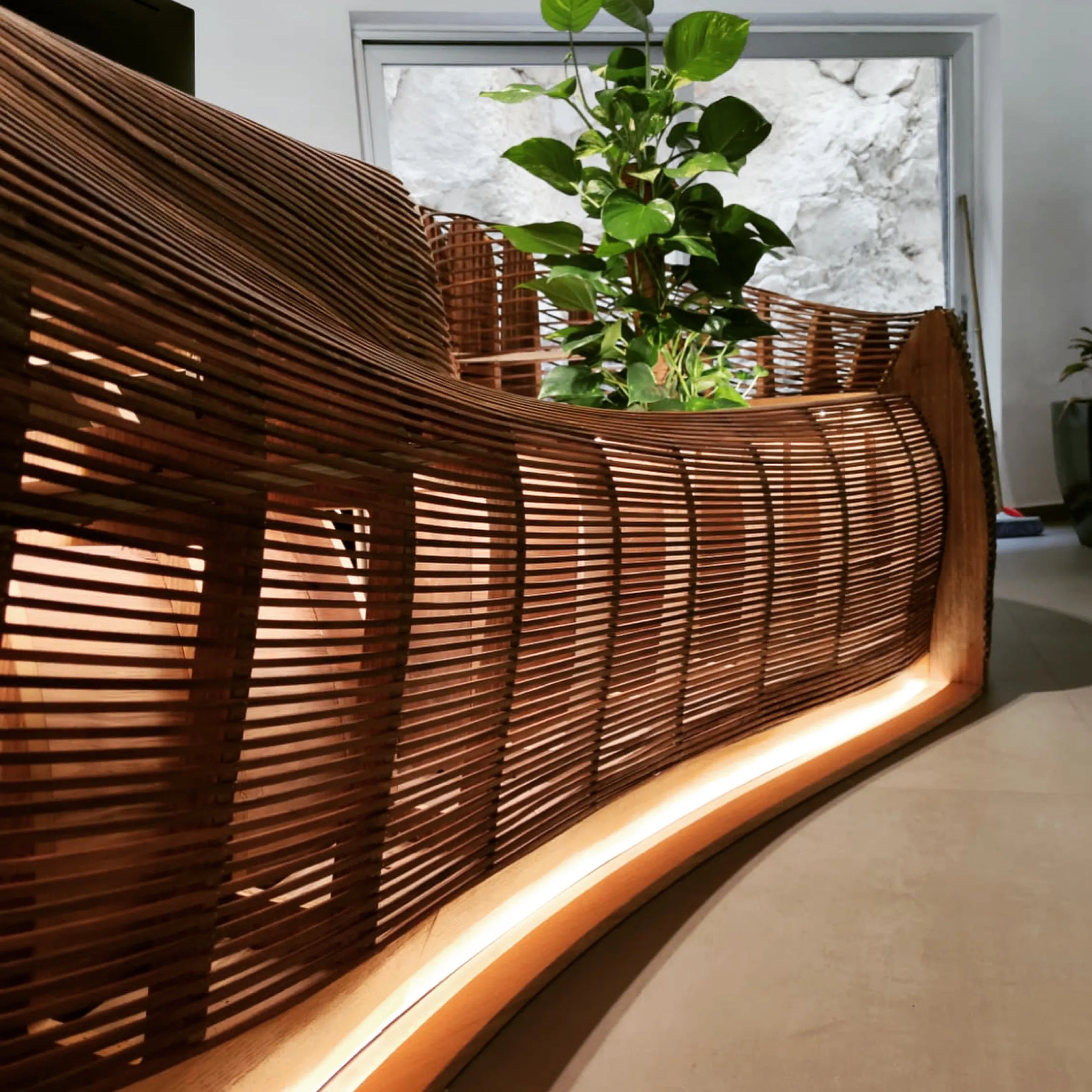 steam-bent walnut lamellae, lit from within