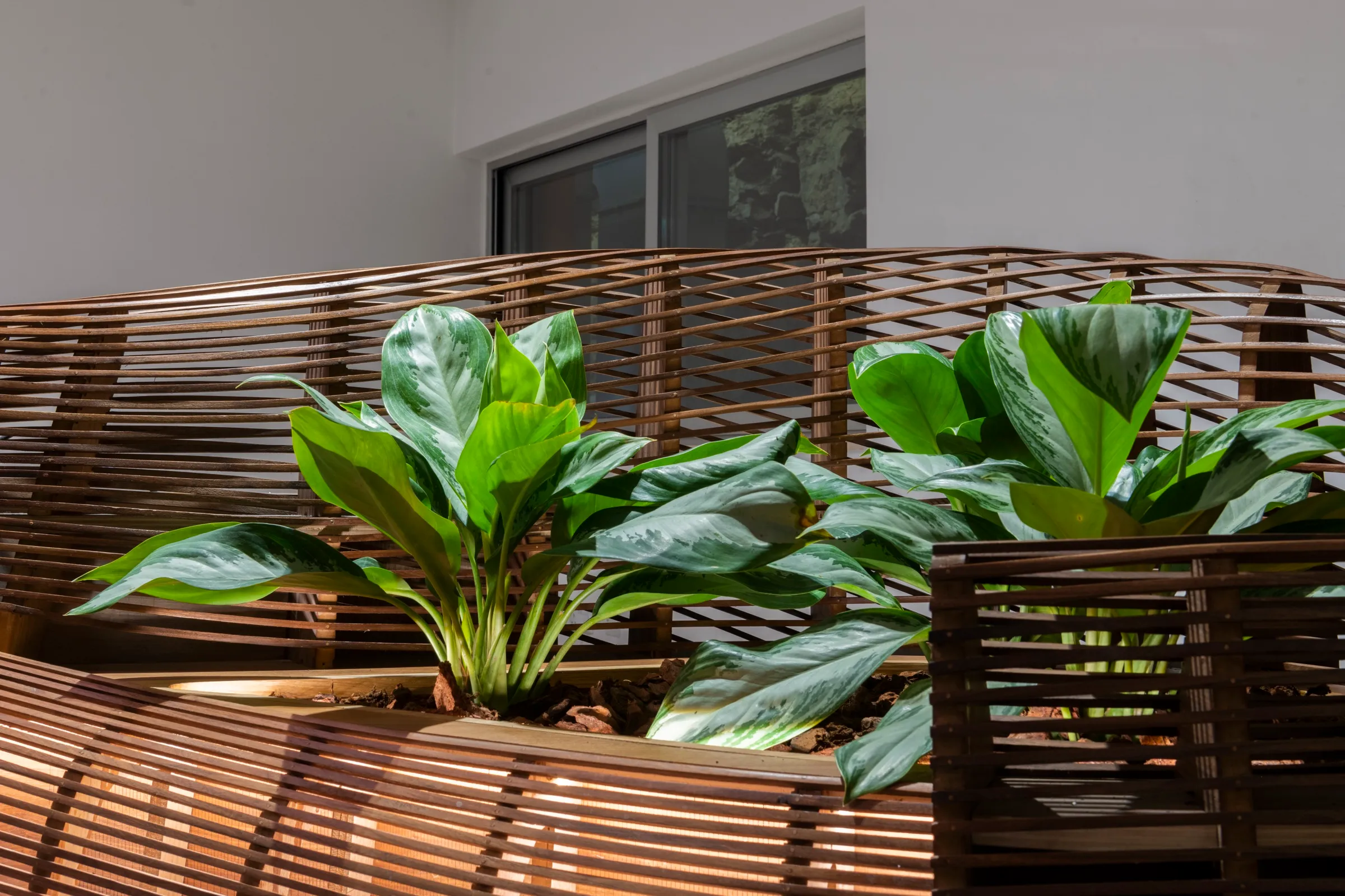 spinola reception desk, the planter, close · photo sean mallia