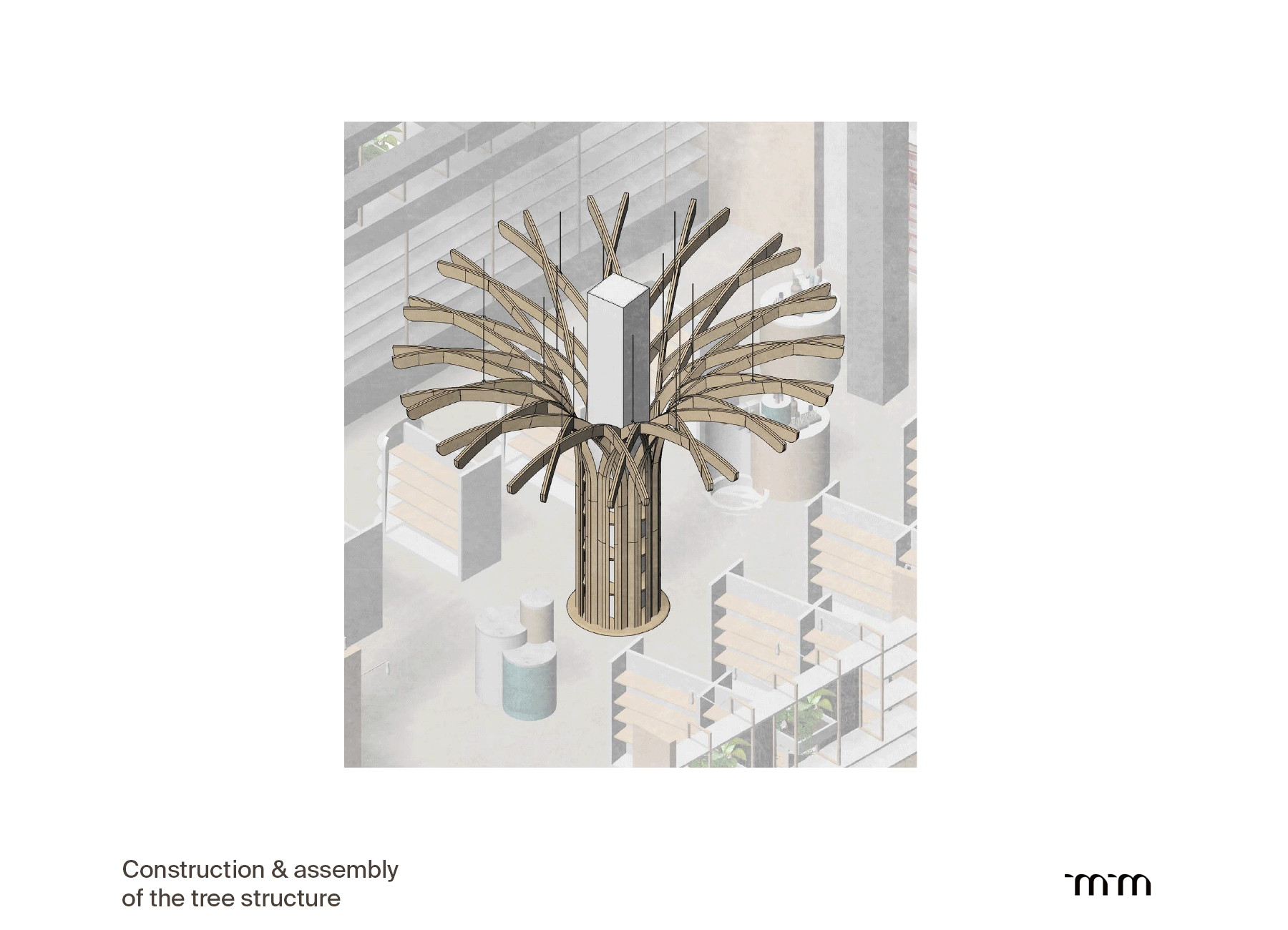 the lamella timber structure at pearl, arkadia gozo: the footing and collars, then primary and secondary branches, assembled layer by layer